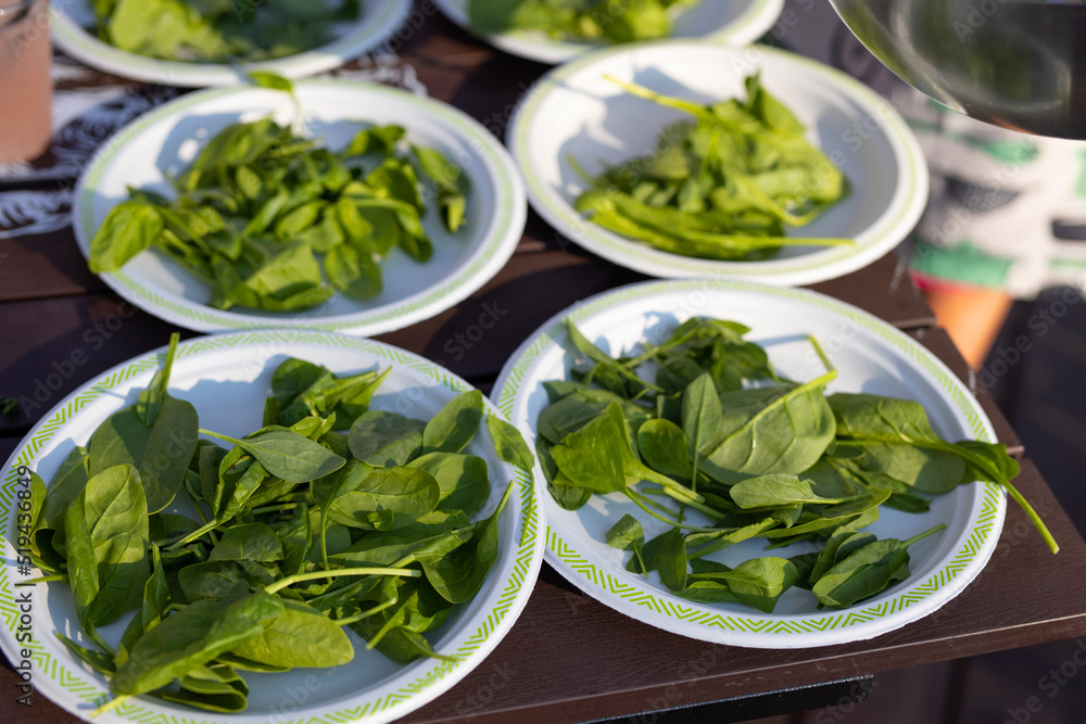 fresh green spinach in a salad bowl fresh green spinach in a salad bowl