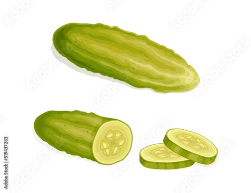 Sliced and Whole Pickled Cucumber or Gherkin with Salted Taste Vector Set