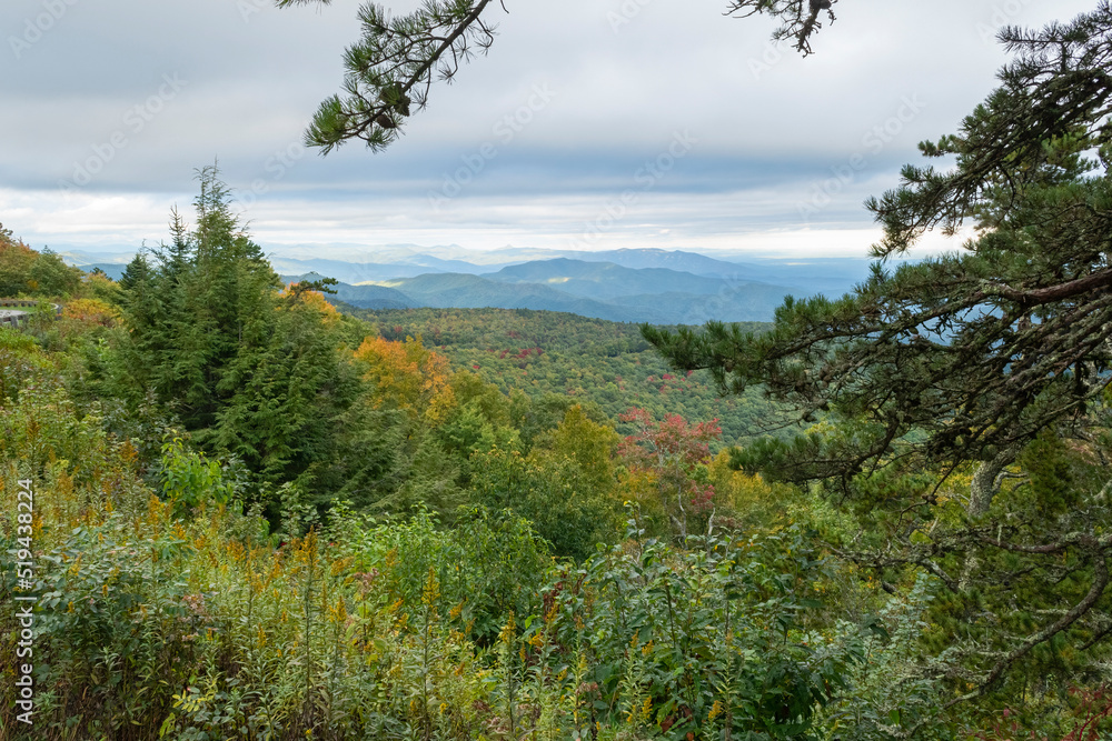 Autumn looking over fall colors and distance mountain peaks under a layered white and gray sky framed by evergreen trees photographed at Black Mountain overlook on blue ridge Parkway NC 