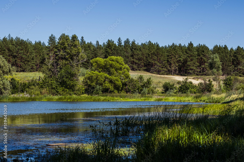 lake and forest