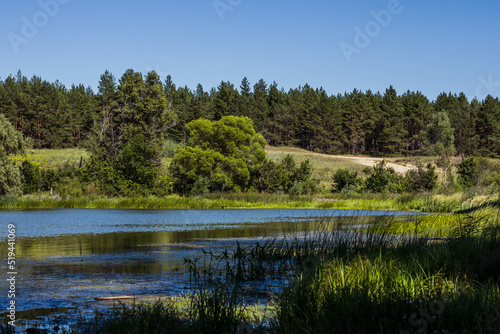 lake and forest