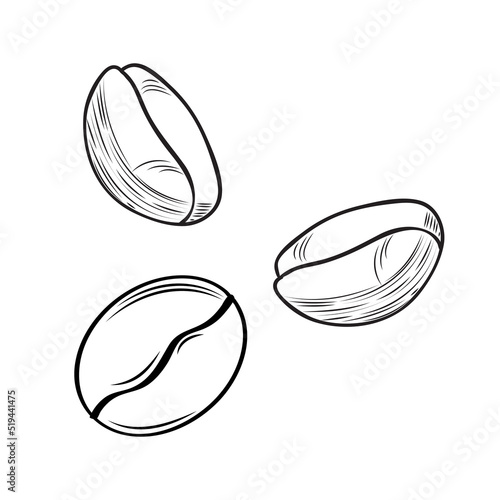 Coffee bean set. Isolated coffee bean on white background. Sketch vector drawing