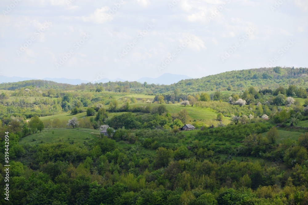 spring landscape on the mountain