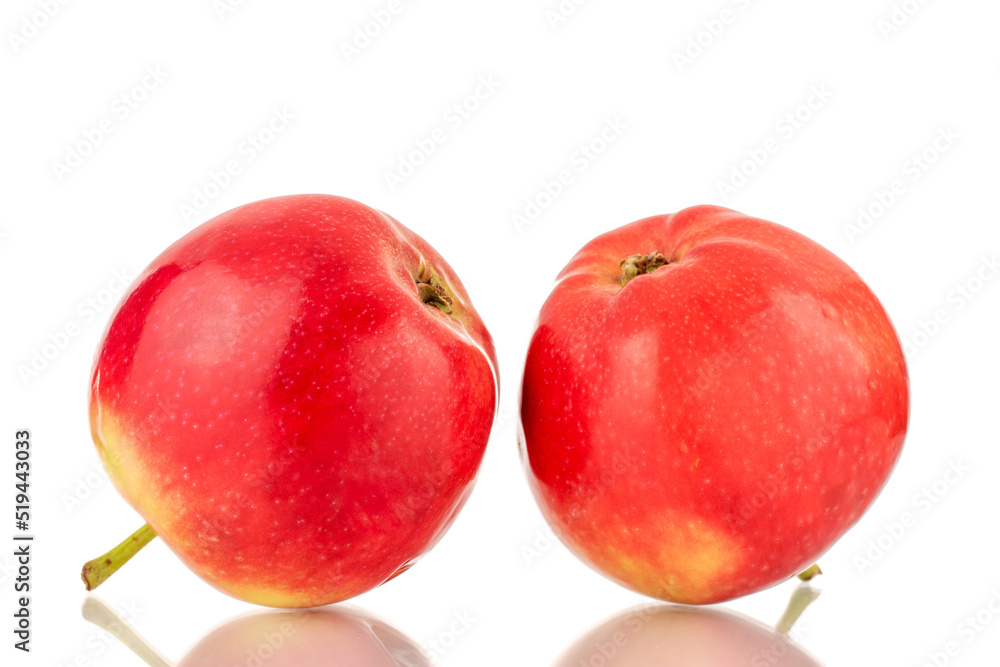 Fototapeta premium Two red sweet apples, close-up, on a white background.