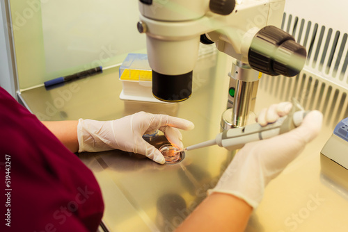 work with the egg in the center of reproductive medicine. girl's hands work with human dna. artificial fertilization of an egg in a medical office using a pipette photo