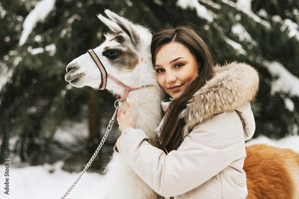 young beautiful woman in fashion stylish winter clothes overall walking and hugging with llama alpaca pet in snowy pine forest, winter spirit and having fun young beautiful woman in fashion stylish winter clothes overall walking and hugging with llama alpaca pet in snowy pine forest, winter spirit and having fun