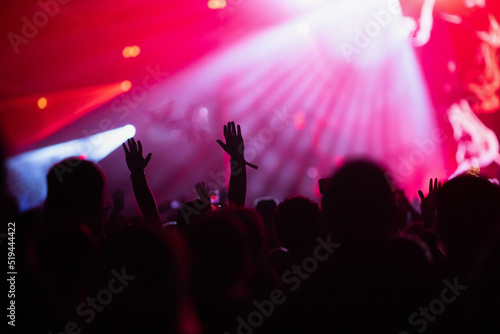 crowd at concert - summer music festival