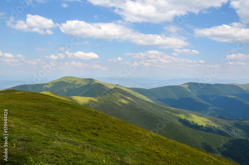 Natural summer landscape with green mountains covered grassy meadows and forest on sunny day. Borzhava, Carpathians, Ukraine