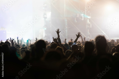 crowd at concert - summer music festival