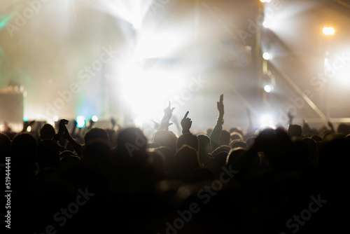 crowd at concert - summer music festival