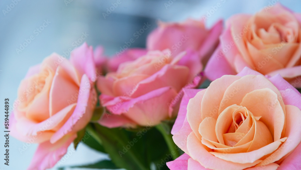 Bouquet of pink roses on a light background close-up