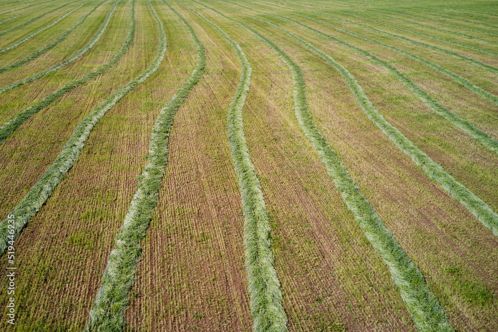 Rural landscape. Pasture with rolls of green mown grass, picturesquely going beyond the horizon. Natural background. Shooting from a drone. Rural landscape. Pasture with rolls of green mown grass, picturesquely going beyond the horizon. Natural background. Shooting from a drone.