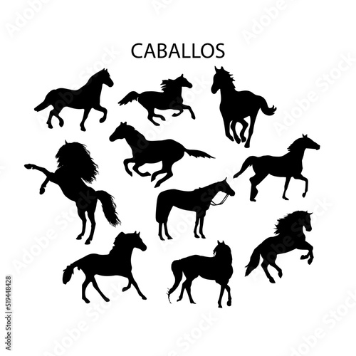 Caballos, silueta vectorial