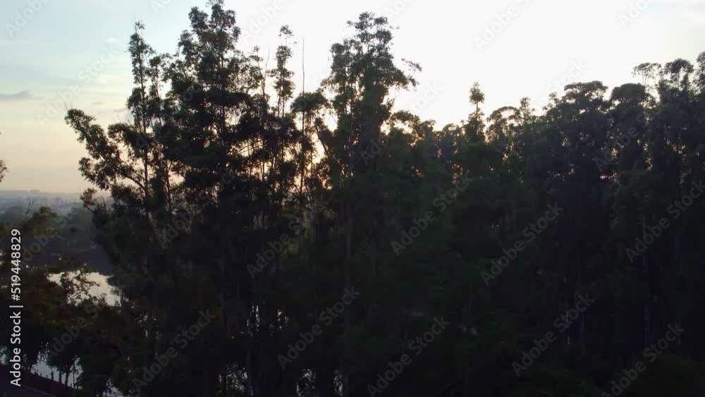 Sunrise, a beautiful sunrise in a small town in Brazil 4k, natural light, selective focus. Sunrise, a beautiful sunrise in a small town in Brazil 4k, natural light, selective focus.