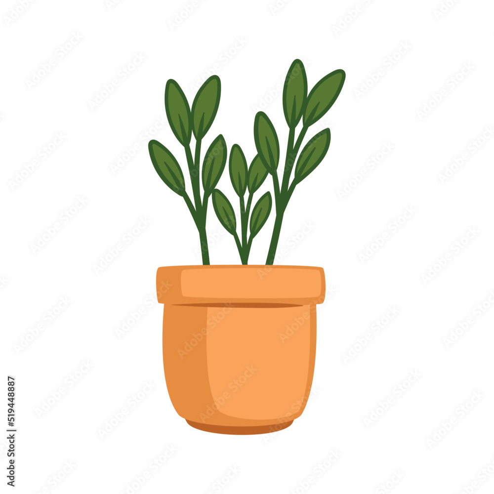 houseplant in classic pot houseplant in classic pot