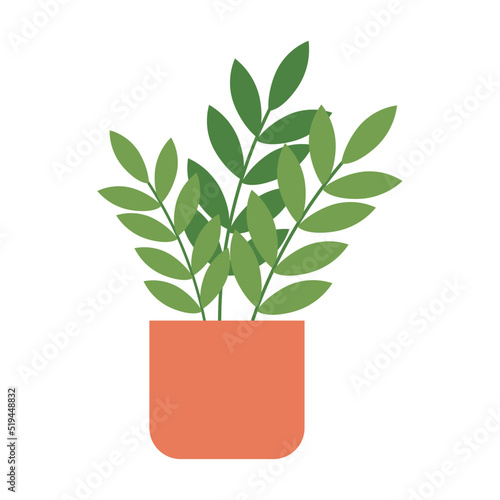 houseplant in orange pot