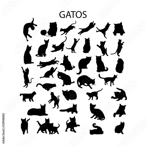 Gatos, silueta vectorial