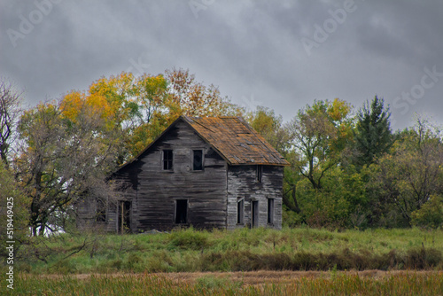 Abandoned homestead