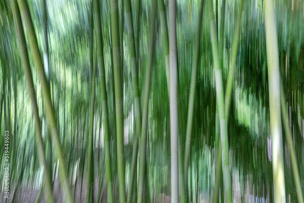 Fototapeta premium Bamboo forest natural creative motion background, photo created by intentional camera movement