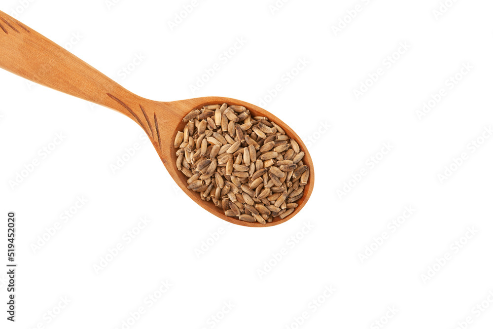 Milk Thistle seeds. Silybum marianum plant seeds in wooden spoon on white background, close-up. Natural antioxidant. Herbal superfood for aiding liver function Milk Thistle seeds. Silybum marianum plant seeds in wooden spoon on white background, close-up. Natural antioxidant. Herbal superfood for aiding liver function