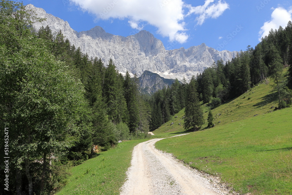 Stony and dusty road, green meadows, pastures and forests. The rocky Dachstein mountain range in the background. Summer sunny day. The Austrian Alps.