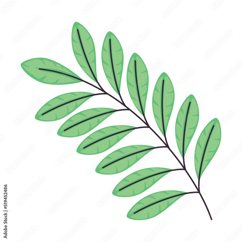 branch with green leafs