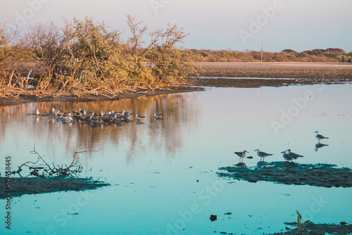 Lago en Santa Brigida