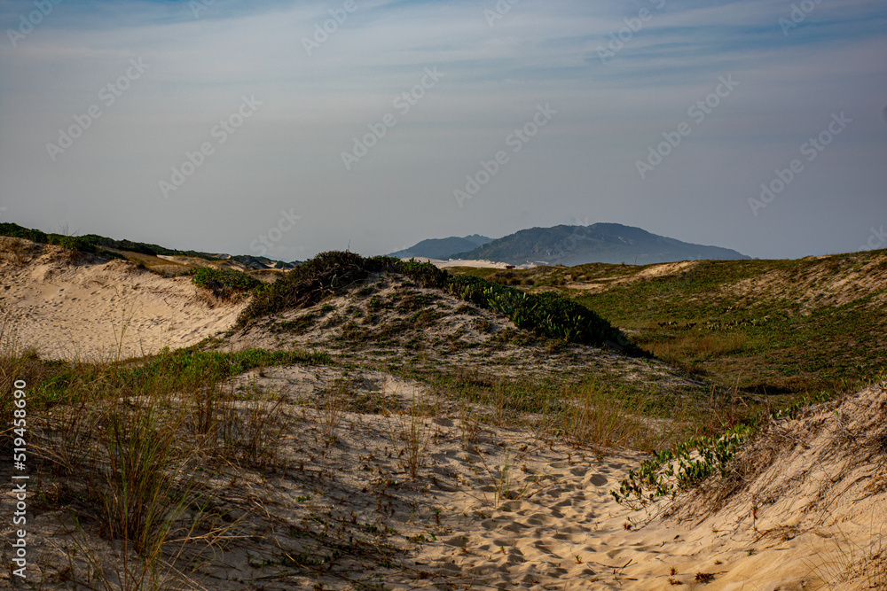 dunes. Florianopolis - SC - Brazil