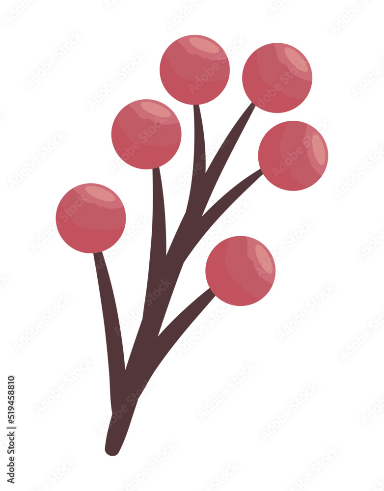 branch with red seeds branch with red seeds