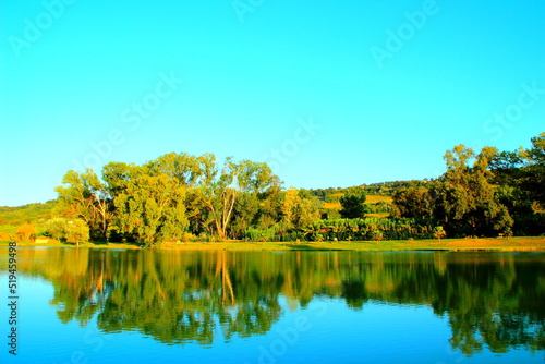Fototapeta Naklejka Na Ścianę i Meble -  Luminous scene from Lago Cedri in Lapedona with some delightful trees bathed in sunlight in the background and the calm serene waters of the lake reflecting all that lushness on a fine summer day