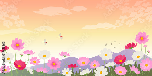 コスモスと秋の山の風景_イメージ背景（2：1）_ベクターイラスト