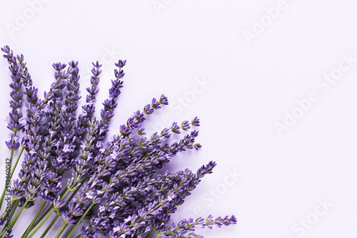 Bunch of lavender flowers on a lilac background. Top view  copy space