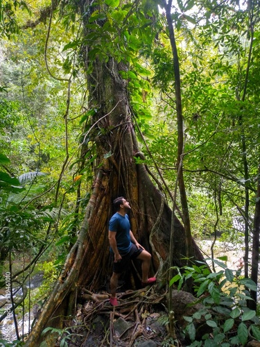 A man looks into the forest in Mata Atlantica, a wet amazonian style jungle in Brazil's coast photo