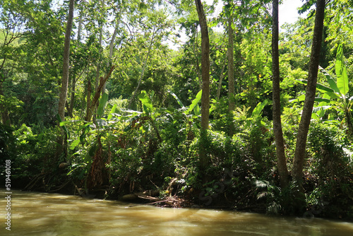 Falmouth, Jamaica  photo