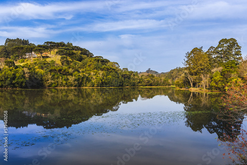 reflection of trees in the lake photo