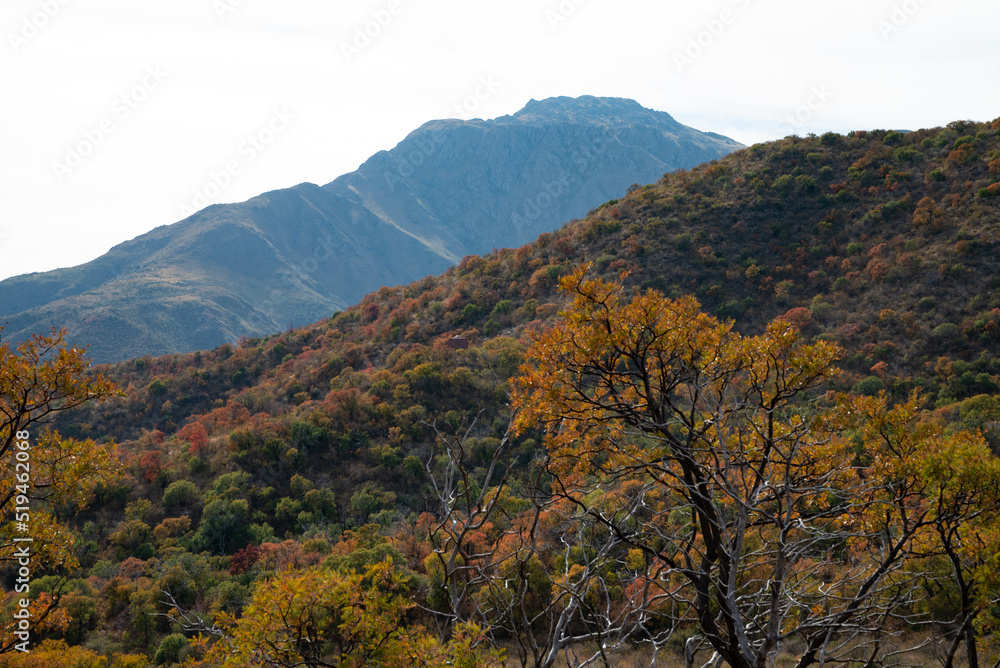 mountains and landscapes in autumn with colorful vegetation in South America, Argentina, Cordoba
