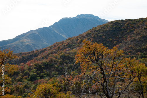 mountains and landscapes in autumn with colorful vegetation in South America  Argentina  Cordoba 