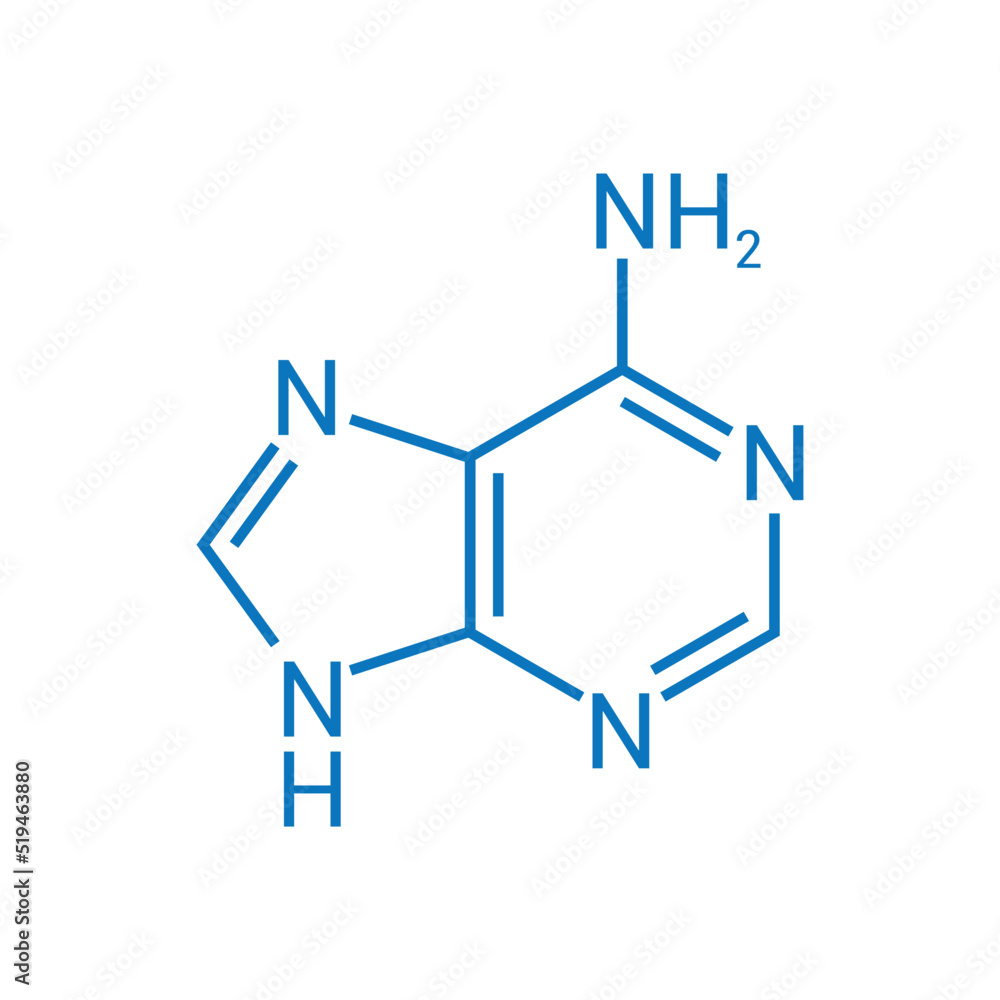 chemical structure of Adenine (C5H5N5) chemical structure of Adenine (C5H5N5)