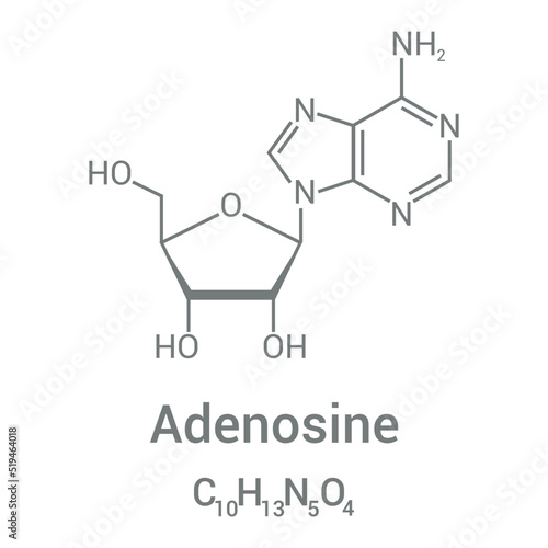 chemical structure of Adenosine (C10H13N5O4) photo