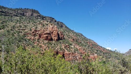 Hillside