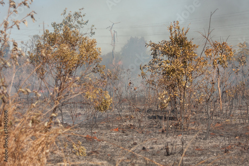 A brush fire near the Karriri-Xoco and Tuxa Indian Reservation in the Northwest section of Brasilia, Brazil