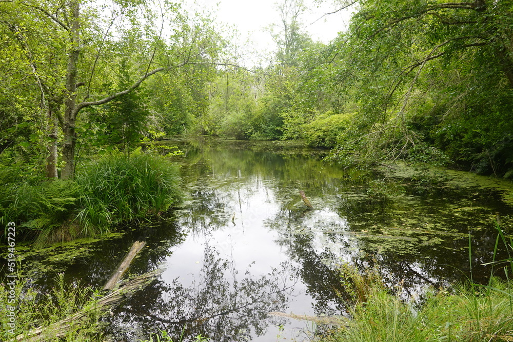 Bloedel Reserve - Bainbridge Island - Washington Bloedel Reserve - Bainbridge Island - Washington