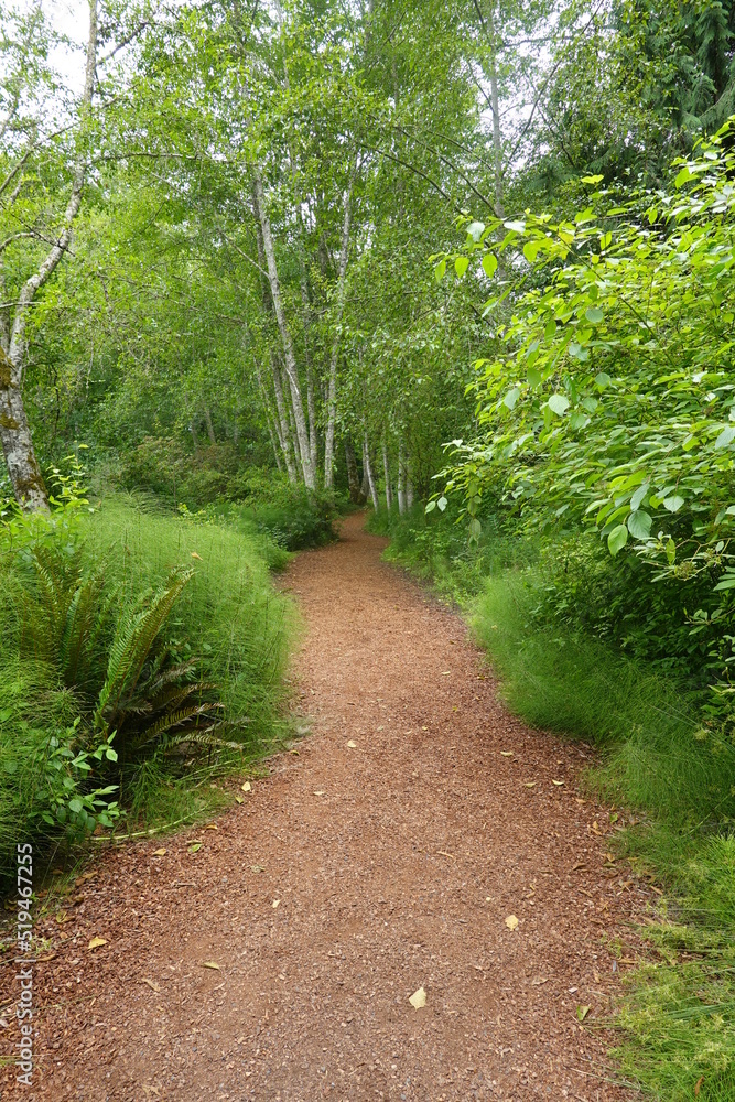 Bloedel Reserve - Bainbridge Island - Washington Bloedel Reserve - Bainbridge Island - Washington
