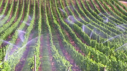Irrigation Sprinkler Vineyard Agricultural Equipment