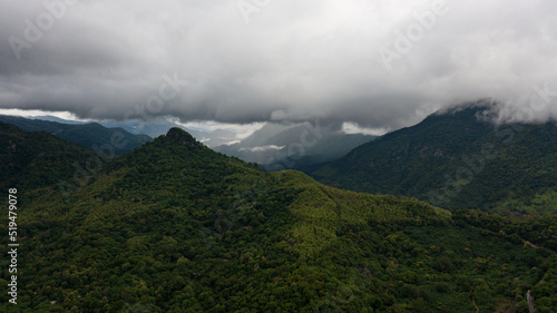 Mountains with rainforest and jungle in the mountainous province of Sri Lanka.