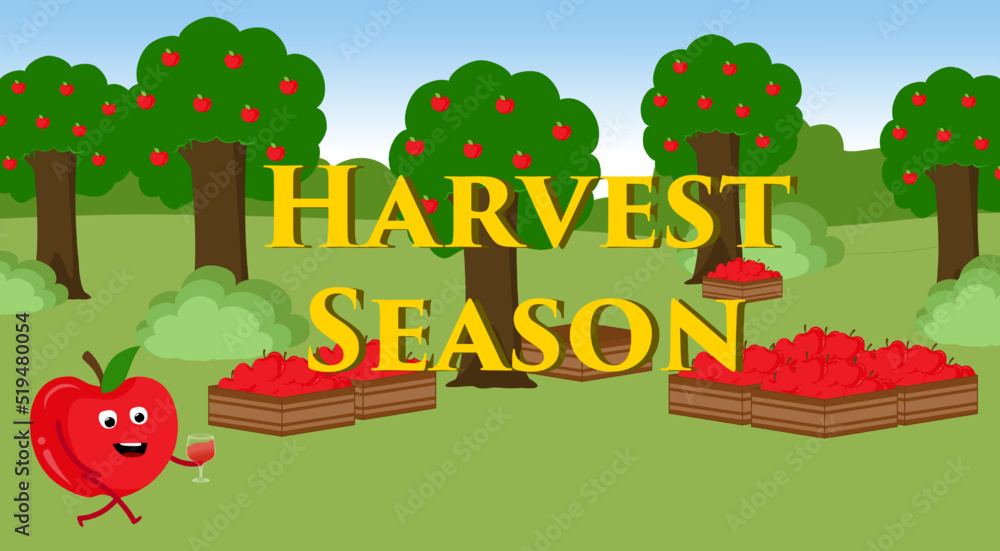harvest season, apple farm, fruits, apple in the tree