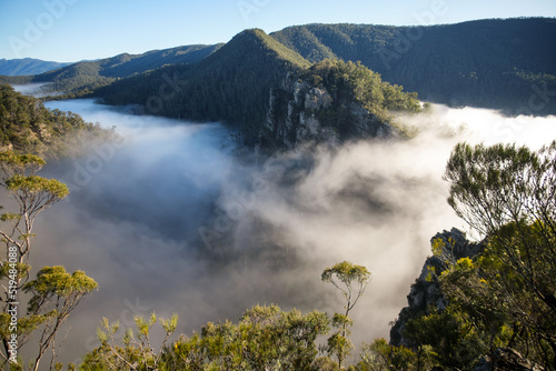 Morning mist rising over Tasmanian gorge