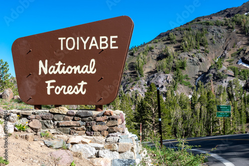 Toiyabe National Forest sign on Sonora Pass photo