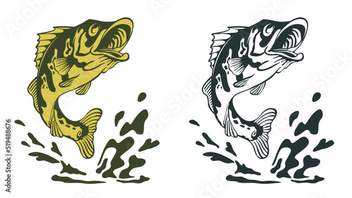 Wild jumping peacock bass fish with water splash illustration. for fishing club, fisherman t-shirt, madbite, fishing life, outdoors, river, sea