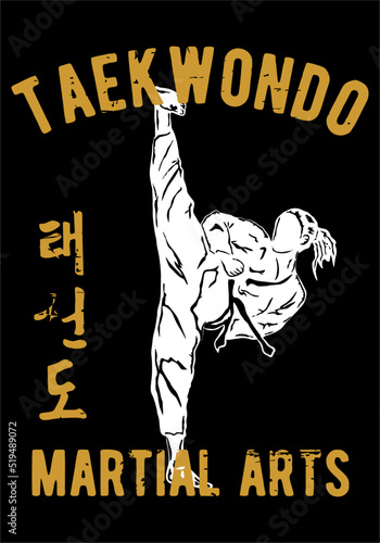 taekwondo vector design illustrator for pringting product
